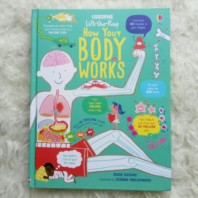 Usborne Lift The Flap How Your Body Works