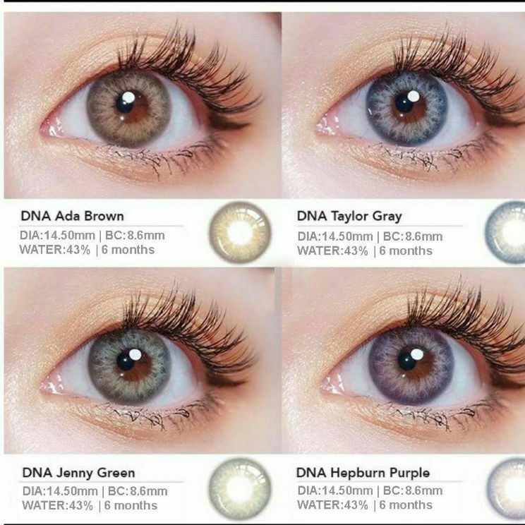 SOFTLENS SWEET BOLLYCON-DNA NORMAL/MINUS(s.d -10.00) SOFTLENS MINUS TINGGI