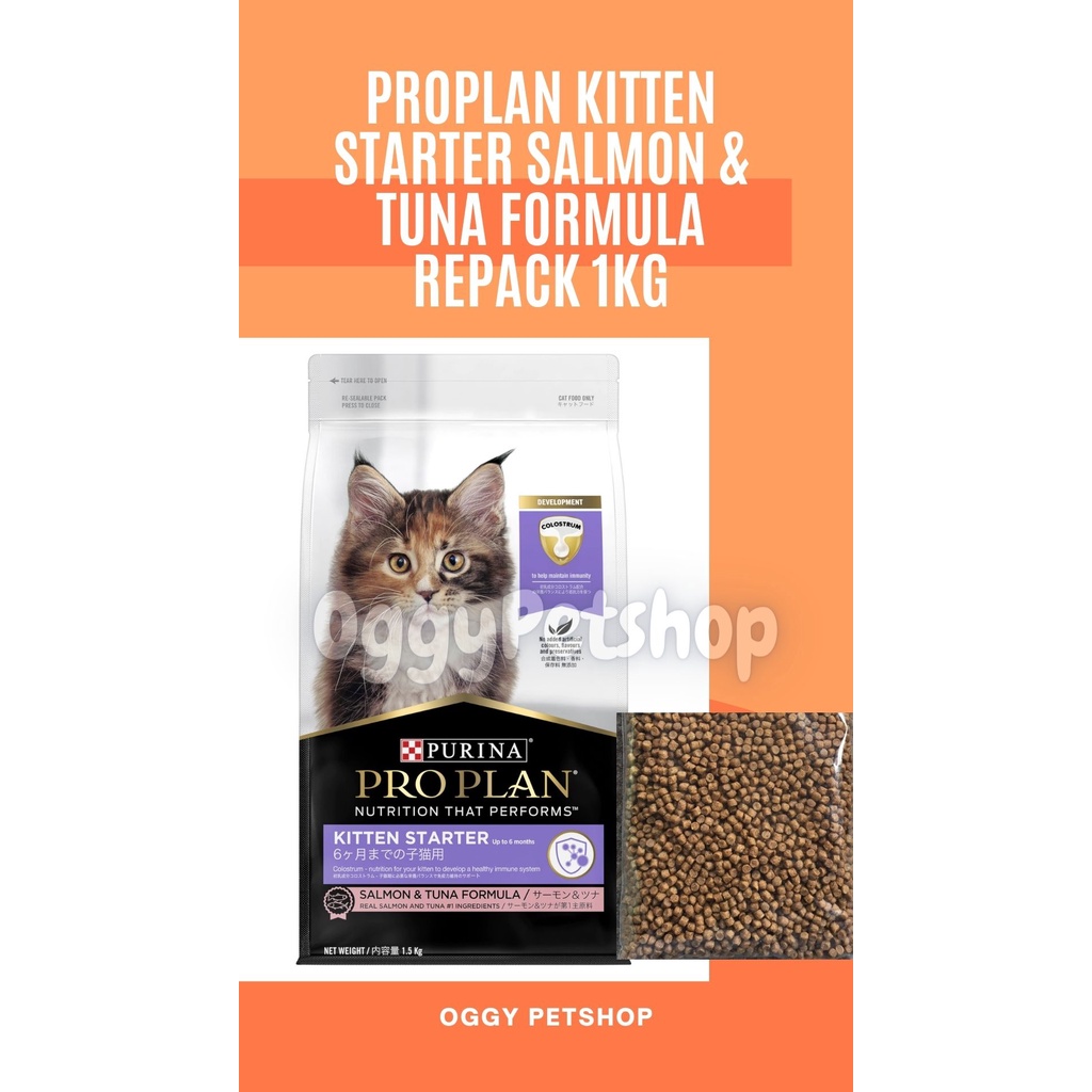 Makanan Kucing PRO PLAN Kitten Starter Salmon &amp; Tuna Formula 1 Kg | PROPLAN KITTEN STARTER 1kg