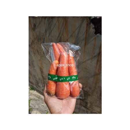 

Wortel | Fresh Vegetables