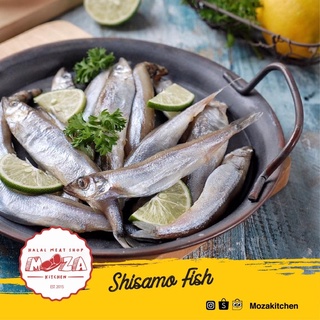 Shisamo Fish (Ikan Capelin)