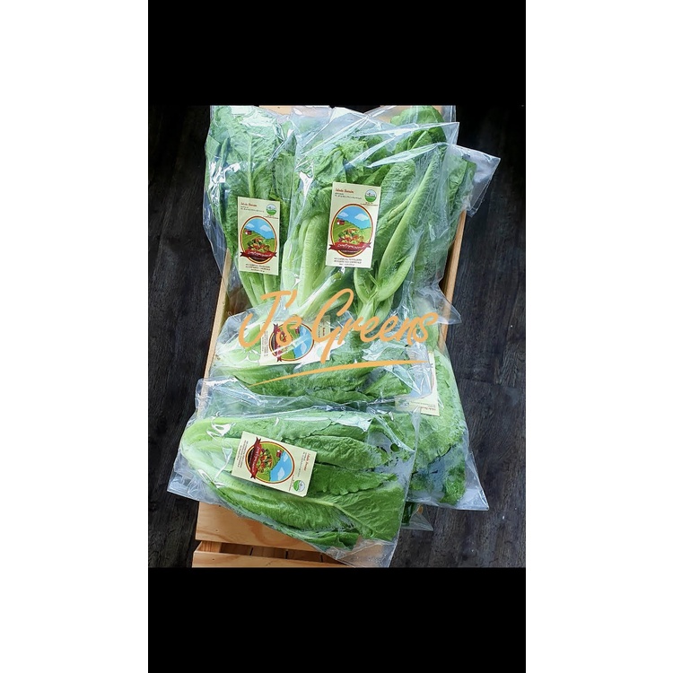 

Romaine Organik Living Organic