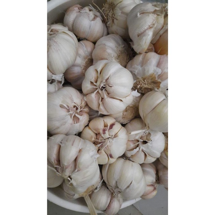 

Promo BAWANG PUTIH SUPER (Banci) - GROSIRAN 1 KG Diskon