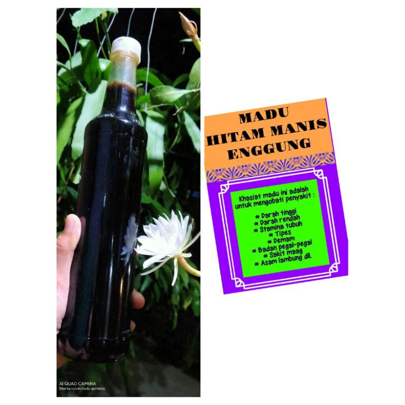 

madu hutan