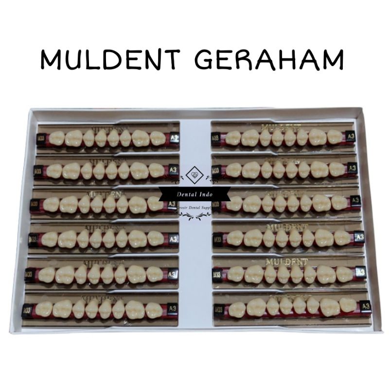 Muldent Gigi Palsu Geraham Atas dan Bawah Per Baris / Papan