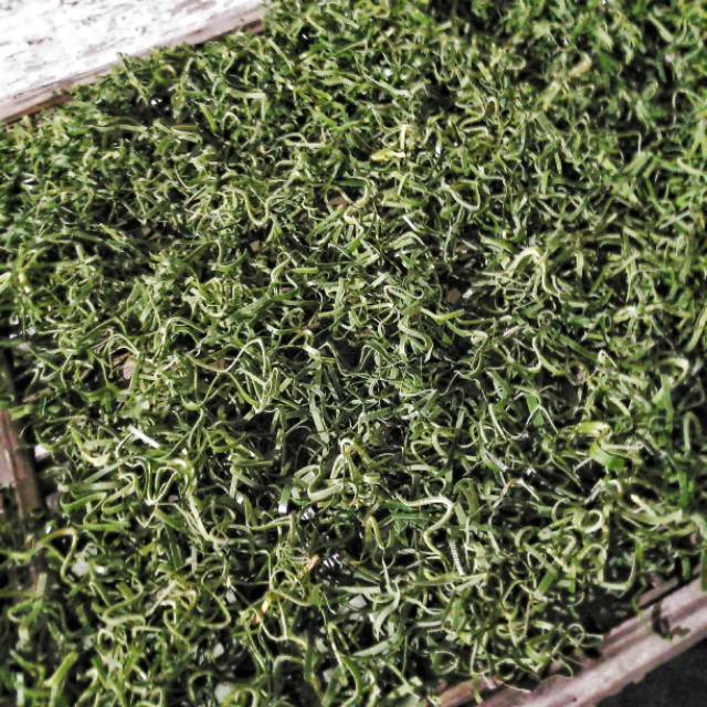 

Daun Pandan Organik Kering 500 gram