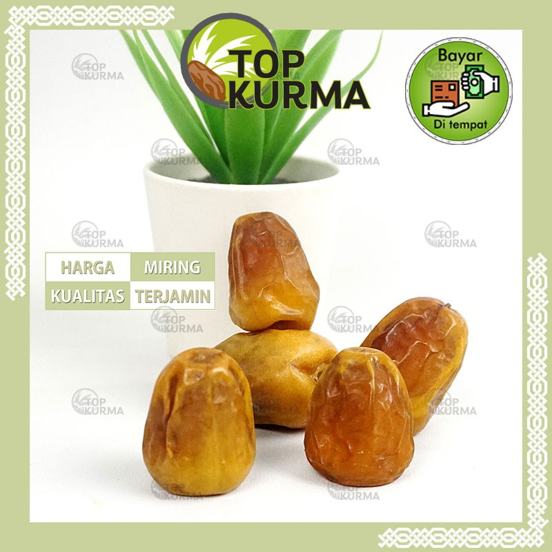 

QH Kurma Sukari 1 kg Kurma Sukari Lembut Sukkari Ori