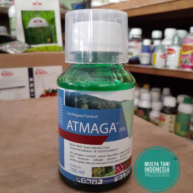 Zat Pengatur Tumbuh Atmaga Murni Asam Gibrelat 20 SL