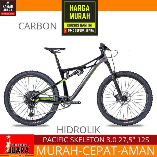 mtb pacific carbon