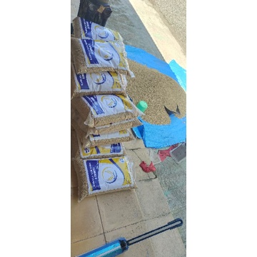 BIBIT PADI SRIKANDI PREMIUM