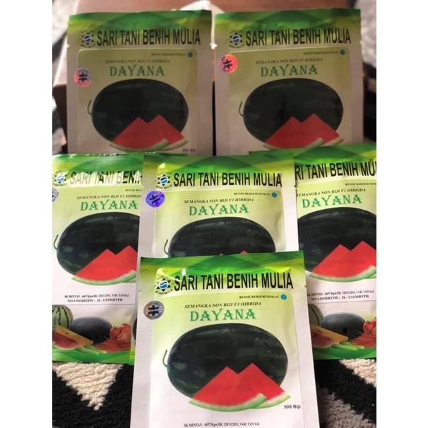 Benih bibit semangka nonbiji merah oval DAYANA  berkualitas 20gram isi 300 biji per bungkus