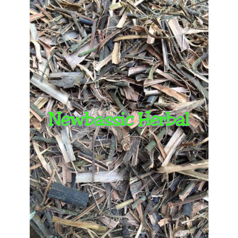 

kulit pohon kersen alami herbal