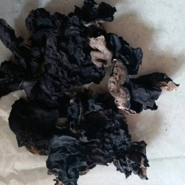 

Jamur Kuping Hitam / Kulat Tembibir / Makje 500 gram