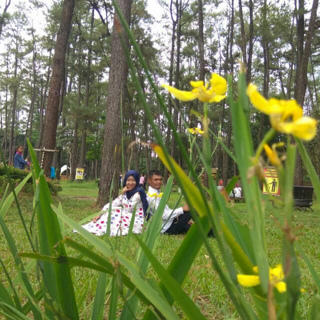 fitra030492