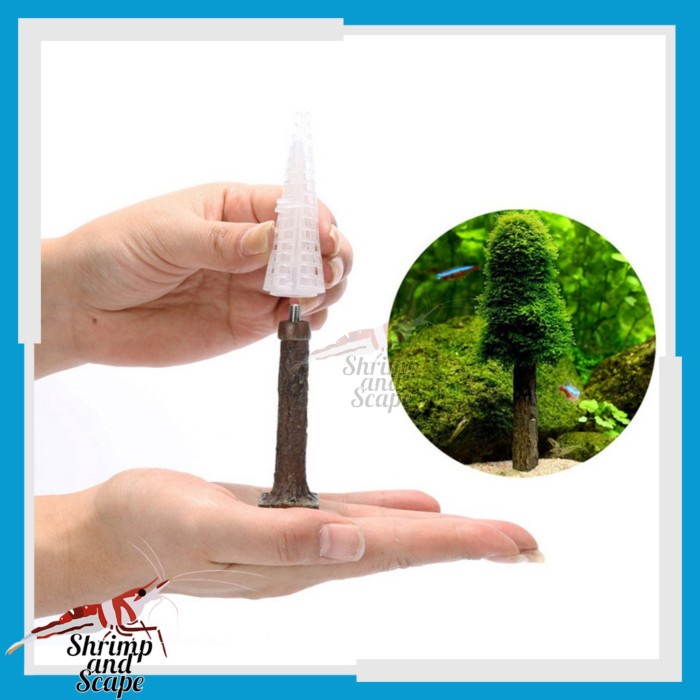 Pembuat Bonsai Moss Pohon Cemara Pinus Media Lempeng Tanaman Aquascape