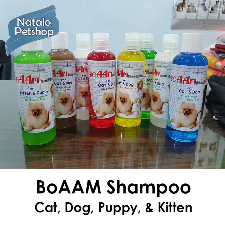 BoAAM Shampoo 250ml Hewan  Kucing Anjing Murah  