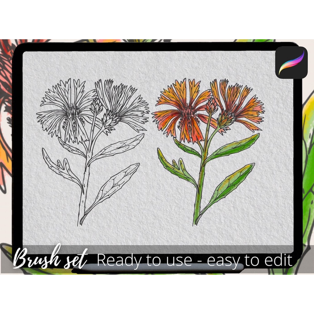 Procreate Brush - Wildflowers Brush Stamp for Procreate