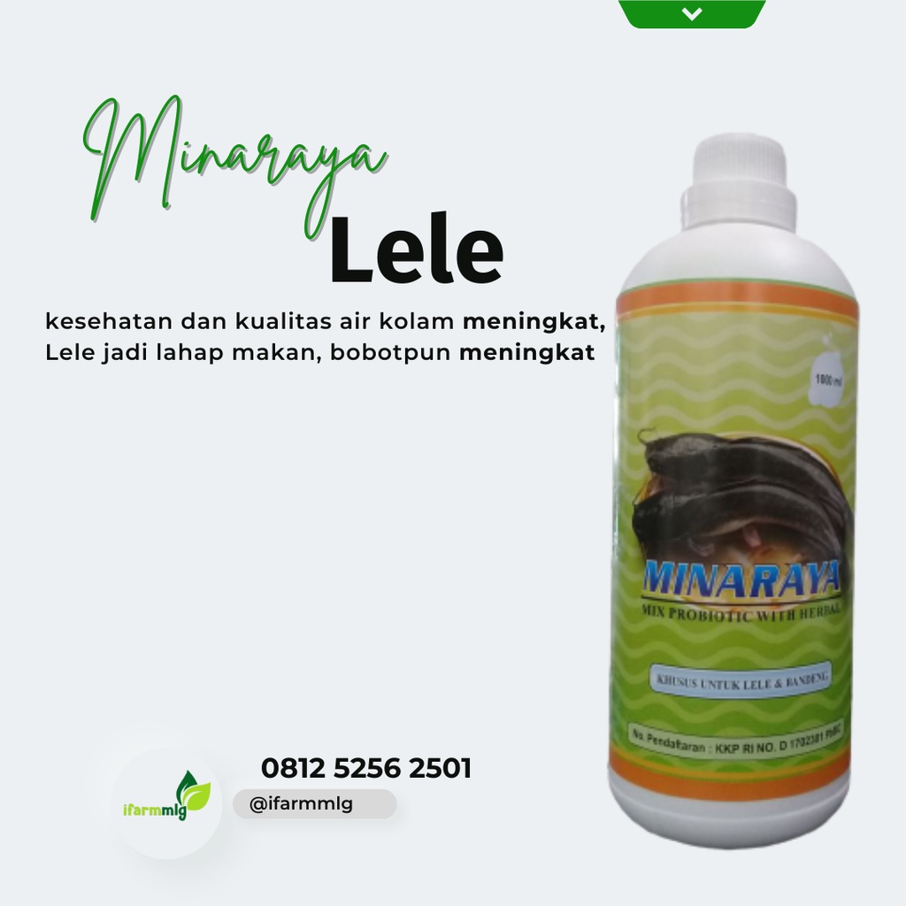 Minaraya Ikan Lele Kemasan 1L - Probiotik Ikan Lele - Penambah Nafsu Makan pada Ikan Lele