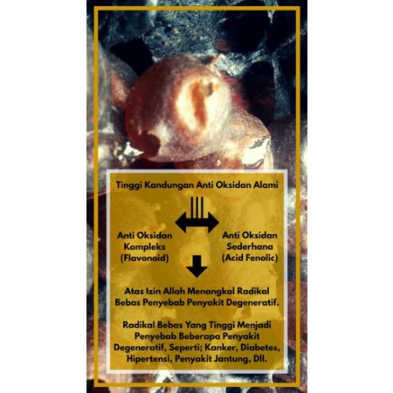

Madu Trigona Alam Liar/Klukut/Teuwel/Klanceng