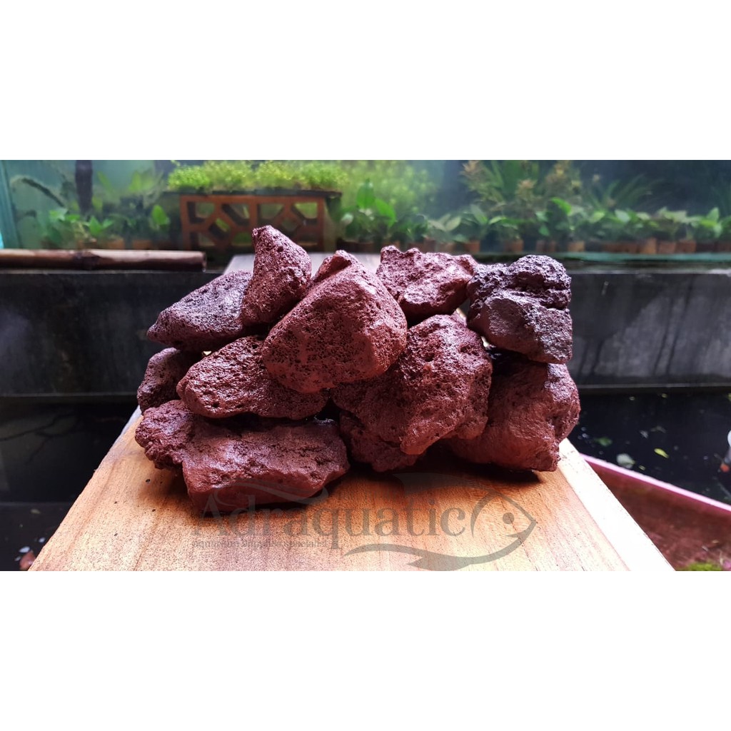 LAVA ROCK 1KG BATU LAVA LAVAROCK ROUGH MERAH HIASAN ...