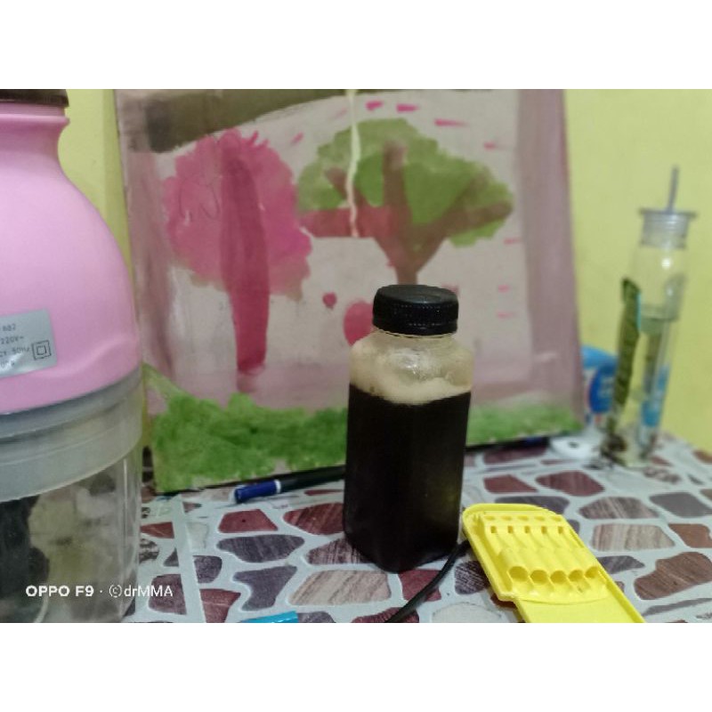 

Madu Asli Kalimantan timur