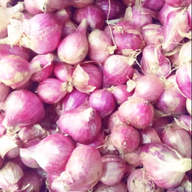 

bawang merah