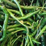 

Cabe Keriting Hijau