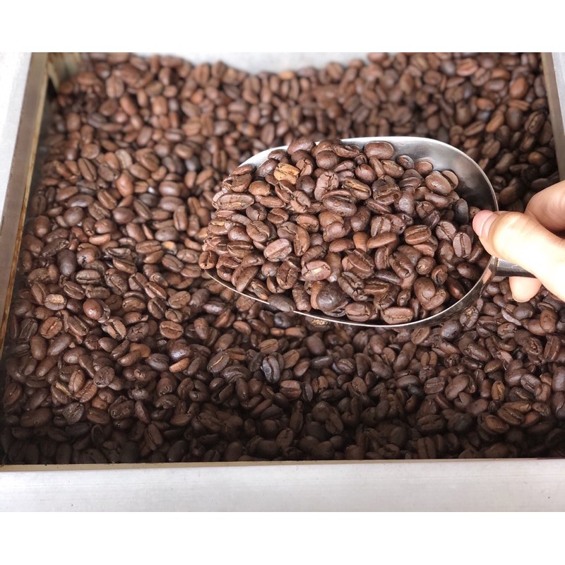 

SIDIKALANG ARABICA BEAN ( biji 1 kg )