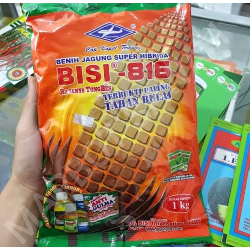 Benih Jagung Super Hibrida BISI 816 Isi 1Kg (Exp 04/2023)