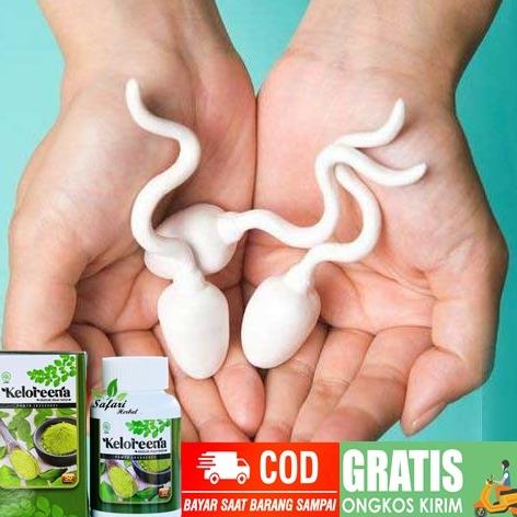 

BISA COD Obat Pengental Sperma & Vitamin Penambah Stamina Kuat pria Herbal /OBAT HERBAL ASAM URAT/OBAT HERBAL PELANGSING/OBAT HERBAL KOLESTEROL/OBAT HERBAL DIABETES