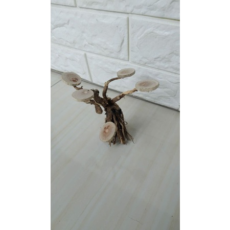 bonsai aquascape akuarium mini hiasan aquarium