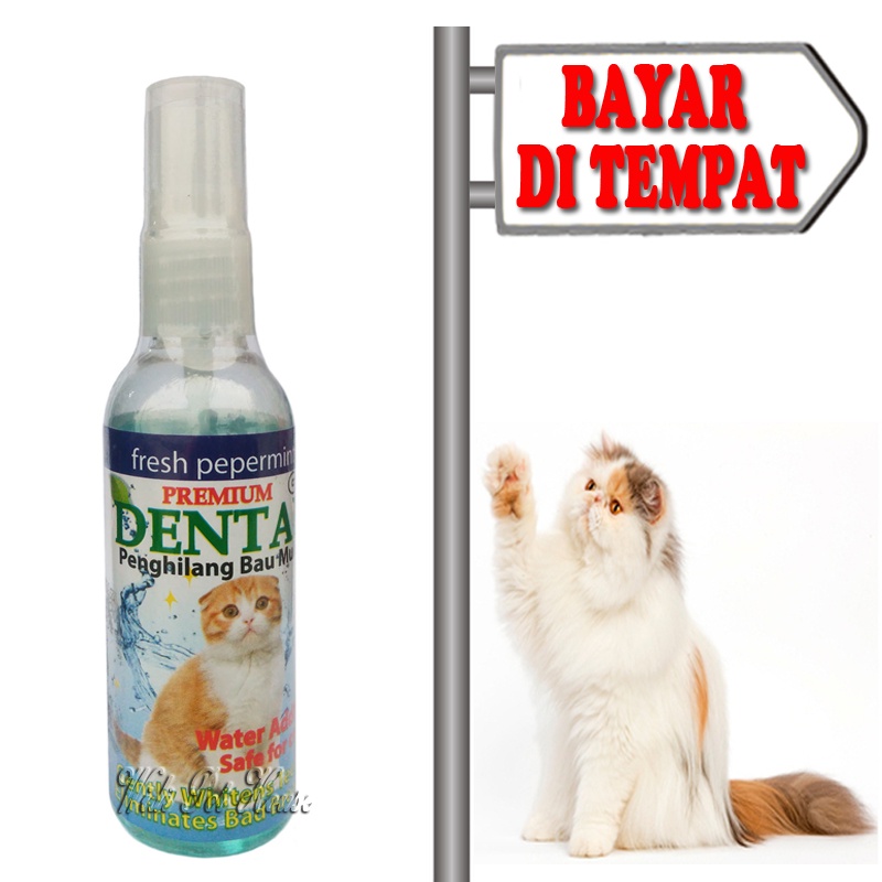 Obat Bau Mulut Sariawan Kucing Semprot Dental