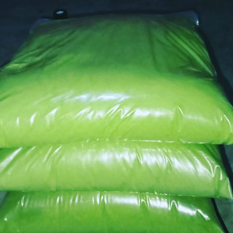 

bubuk daun kelor organic