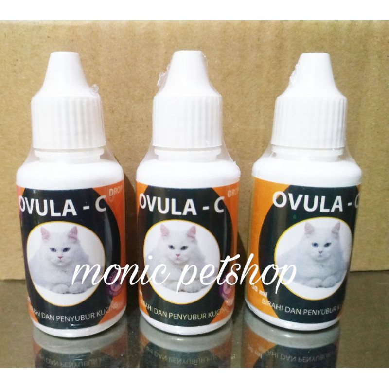 OVULA C ( Obat Birahi Kucing)