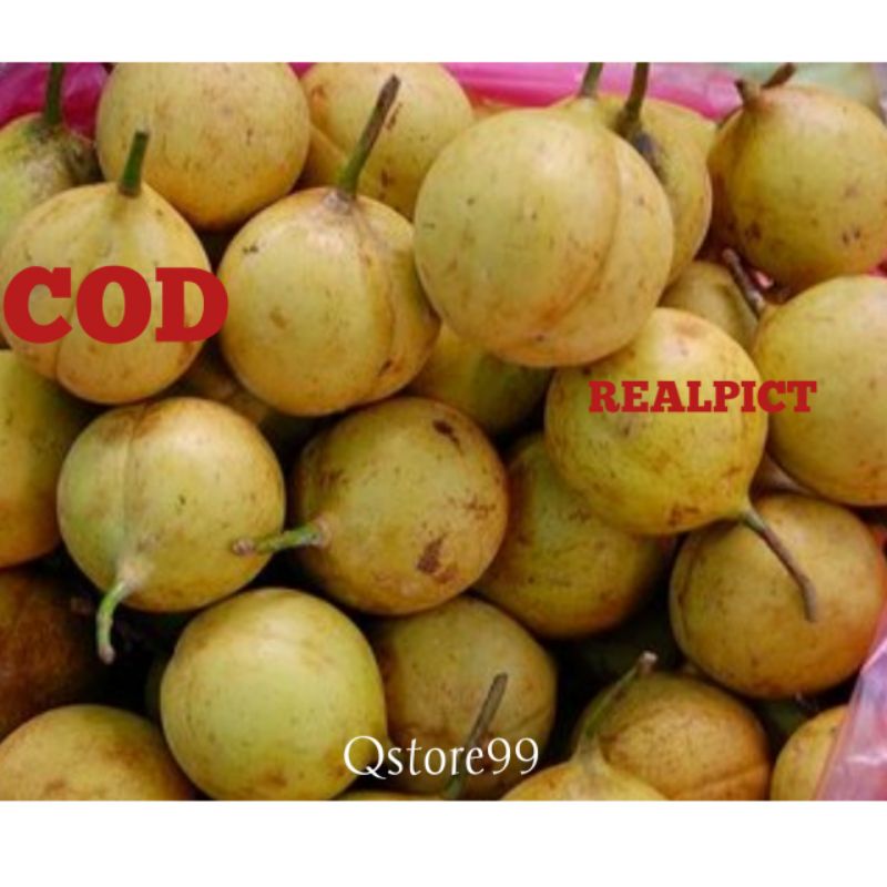 

Buah Pala-Segarr-1Kg