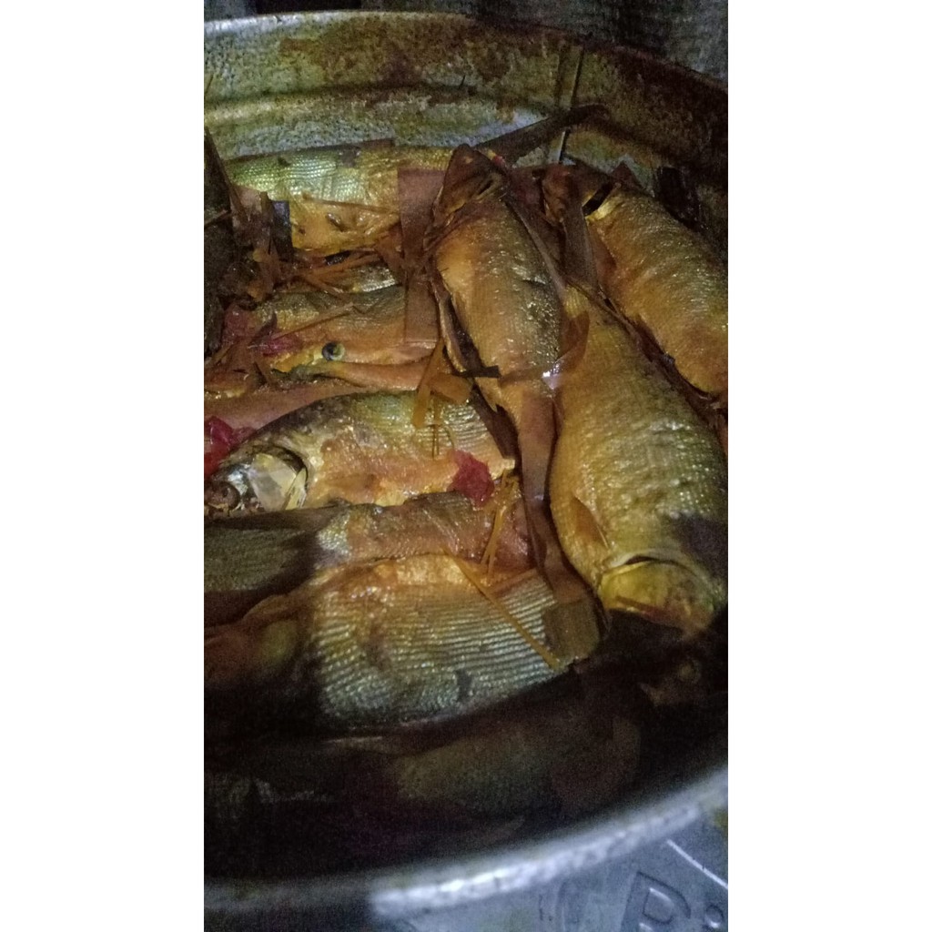 

Pindang Bandeng Ajiip