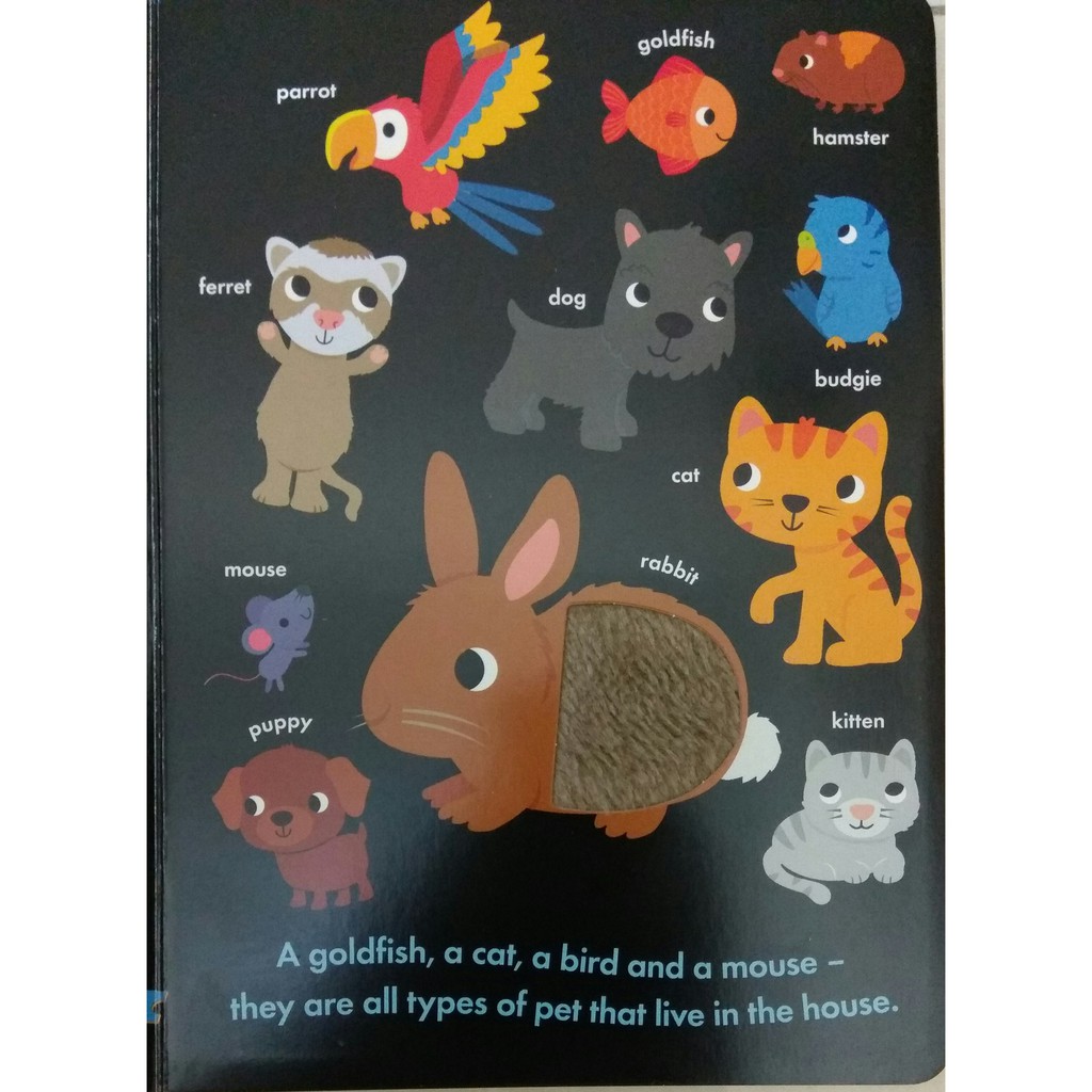 Touch-And-Feel FIRST WORDS a Fun Filled Book of Learning book