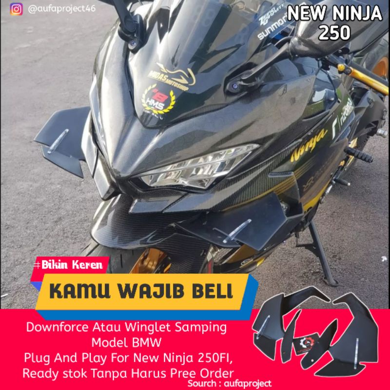 Downforce Atau Wingside Model BMW For New Ninja Fi