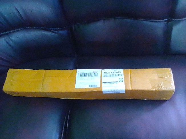 Tanaman Hias Aglonema Big Roy / Lulaiwan