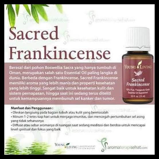 Sacred Frankincense Essential Oil 15 Ml Yl Shopee Indonesia