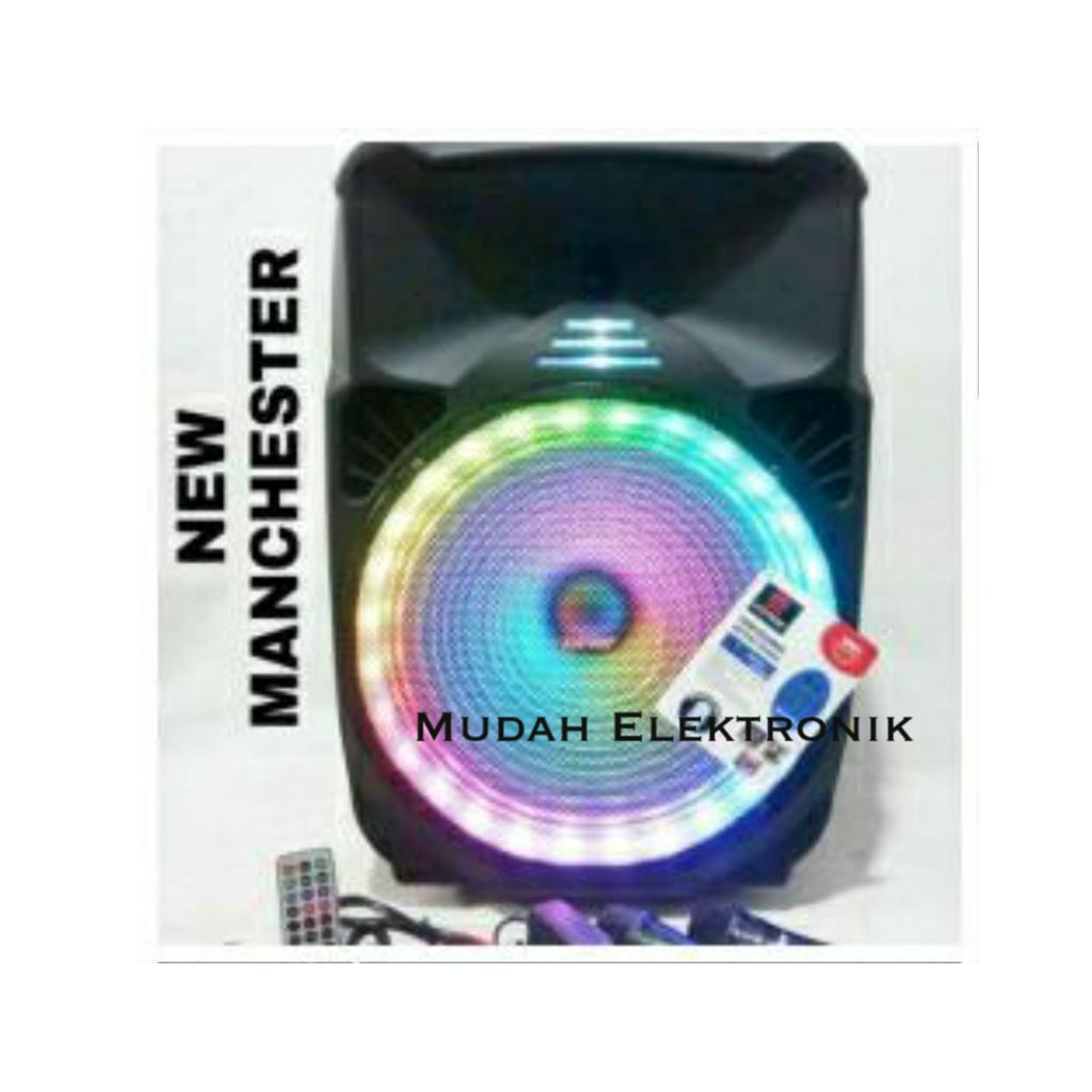 Speaker Portable Asatron New Manchester 15in