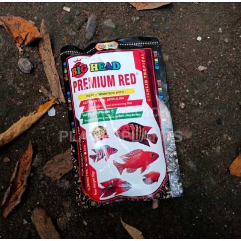 BIG HEAD PREMIUM MAKANAN IKAN AQUARIUM CHANA CICHILD OSCAR