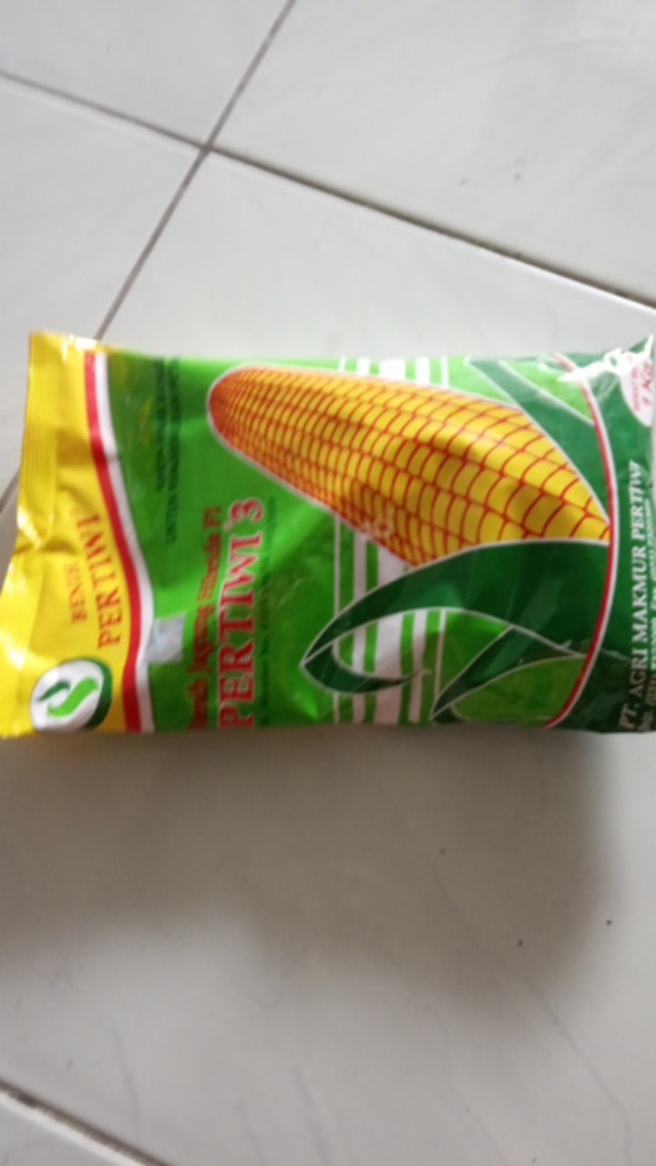 Bibit Jagung. Benih Jagung Hibrida F1 Pertiwi 3 (1 Kg)