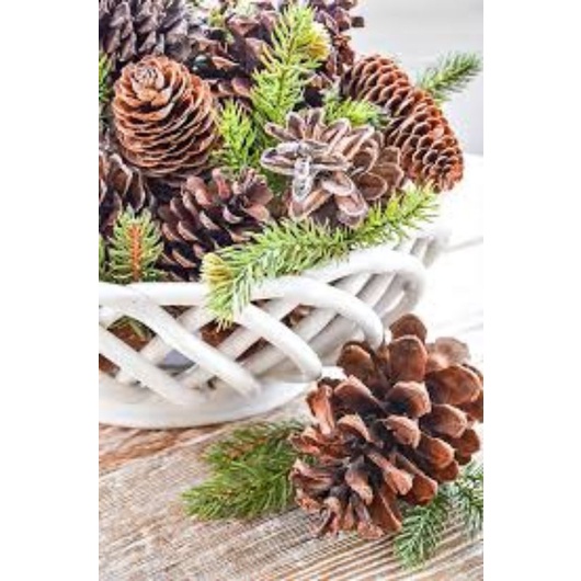 Pine Cone Mainan gigit Hamster/Hamster Chew Toy Biji pinus Buah Cemara Dekorasi