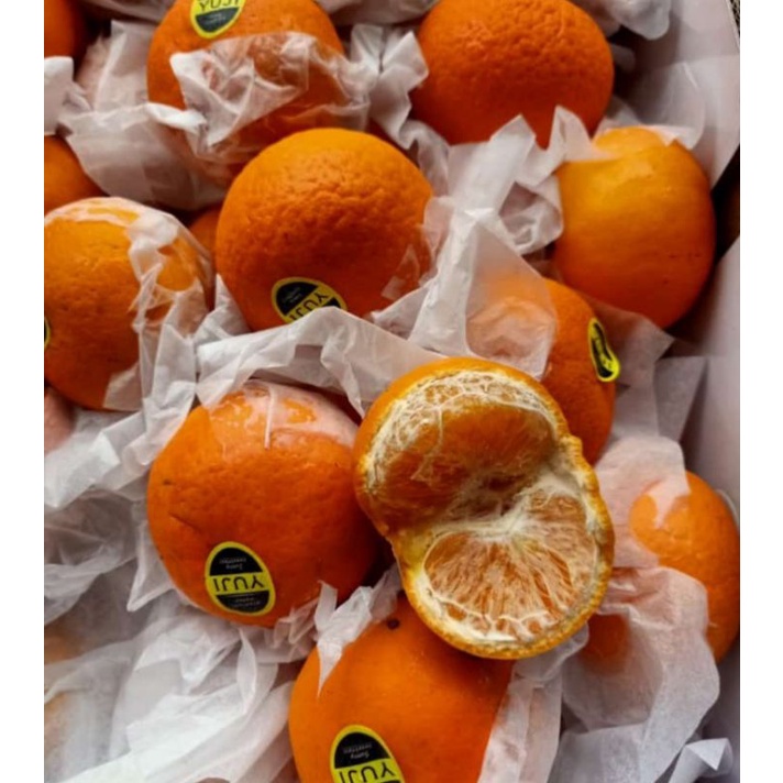 

Buah Jeruk Wokam Wogam Manis Fresh / 1 Kg