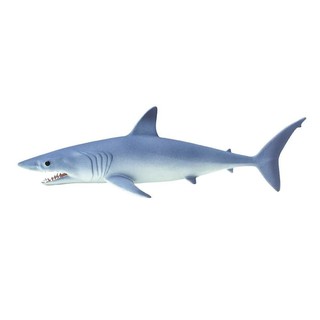 9400 Contoh Gambar Hewan Hiu HD Terbaik