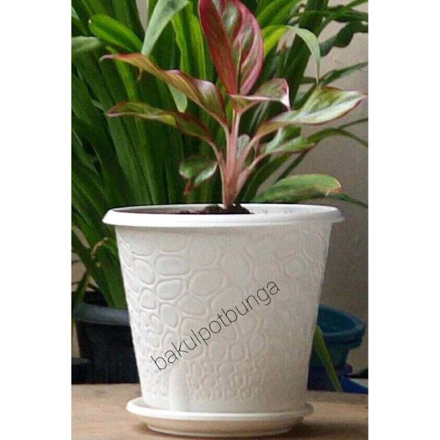  Pot  Bunga  Motif Coral 03 dan Tatakan Alas Pot  Shopee 