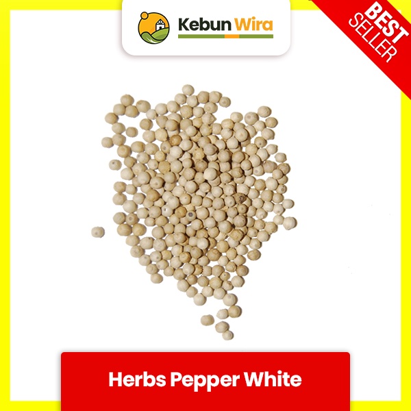 

Lada Putih | Herbs Pepper White Powder 1 Kg