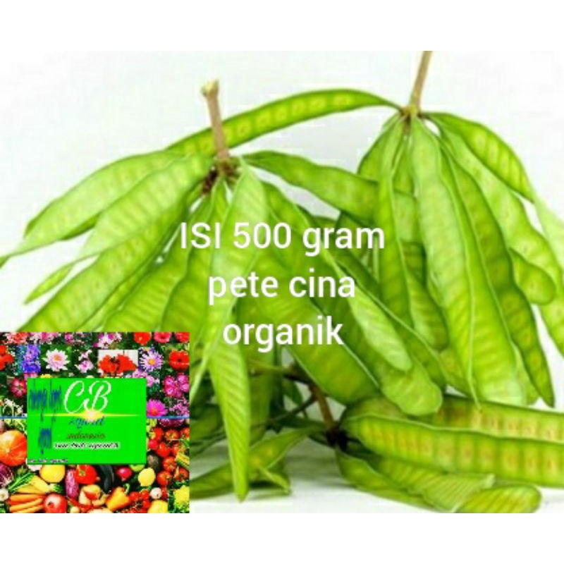 

pete cina organik/sayuran/lalapan pete cina 500 gram