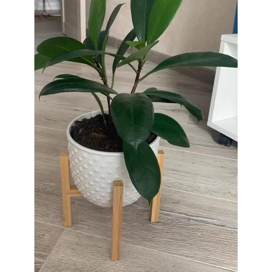 Standing Planter